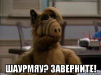  шаурмяу? заверните!