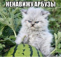ненавижу арбузы 