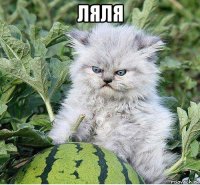 ляля 