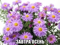  завтра осень