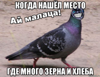 когда нашёл место где много зерна и хлеба