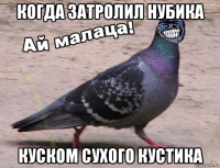 когда затролил нубика куском сухого кустика