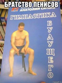 братство пенисов 
