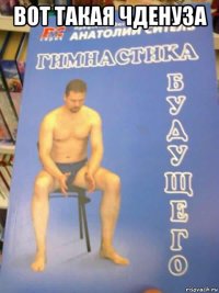 вот такая чденуза 