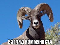  взгляд коммуниста
