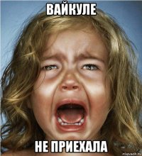 вайкуле не приехала