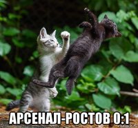  арсенал-ростов 0:1