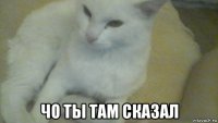  чо ты там сказал
