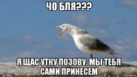 чо бля??? я щас утку позову. мы тебя сами принесем
