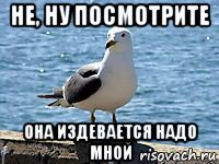 не, ну посмотрите она издевается надо мной