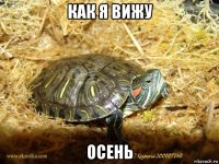 как я вижу осень
