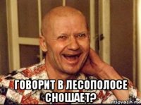  говорит в лесополосе сношает?