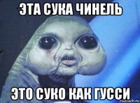 эта сука чинель это суко как гусси