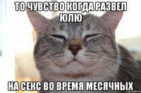 то чувство когда развел юлю на секс во время месячных