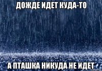 дожде идет куда-то а пташка никуда не идет