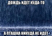 дождь идет куда-то а пташка никуда не идет
