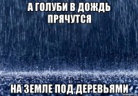 а голуби в дождь прячутся на земле под деревьями