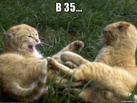 в 35... 