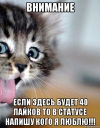 внимание если здесь будет 40 лайков то в статусе напишу кого я люблю!!!