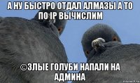 а ну быстро отдал алмазы а то по ip вычислим ©злые голуби напали на админа