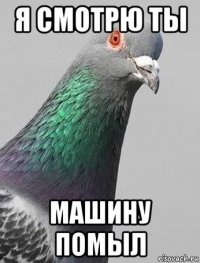 я смотрю ты машину помыл