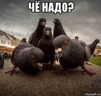 чё надо? 