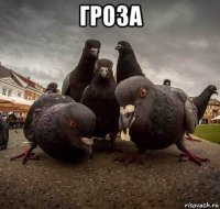 гроза 