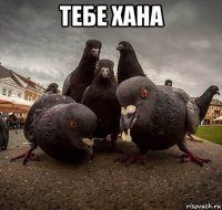 тебе хана 