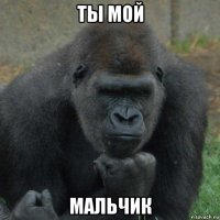 ты мой мальчик