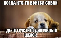 когда кто-то боится собак где-то грустит один милый щенок