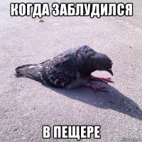 когда заблудился в пещере