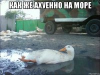 как же ахуенно на море 