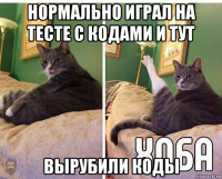 нормально играл на тесте с кодами и тут вырубили коды