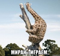  миран :: играем..