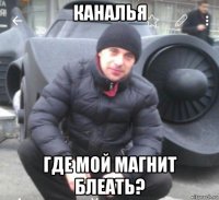 каналья где мой магнит блеать?