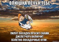 олюшка лечу к тебе пилот посадку просит скажи диспетчеру включит взлетно-посадочные огни .