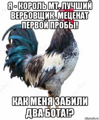 я - король мт. лучший вербовщик. меценат первой пробы! как меня забили два бота!?