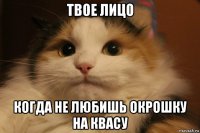 твое лицо когда не любишь окрошку на квасу