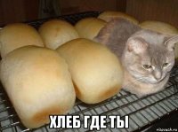  хлеб где ты