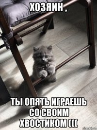 хозяин , ты опять играешь со своим хвостиком (((