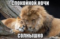спокойной ночи солнышко