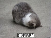  facepalm