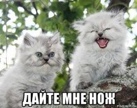  дайте мне нож