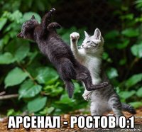  арсенал - ростов 0:1