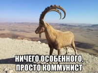  ничего особенного, просто коммунист