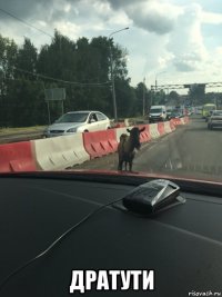  дратути