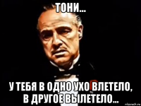 тони... у тебя в одно ухо влетело, в другое вылетело...