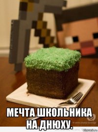  мечта школьника на днюху.