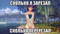 сколько я зарезал сколько перерезал