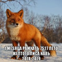 1 меsяца рамхатъ 7527 лето желтого лиса навь 2018-2019
